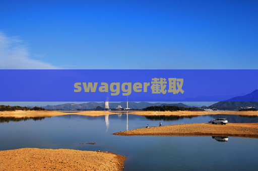 swagger截取